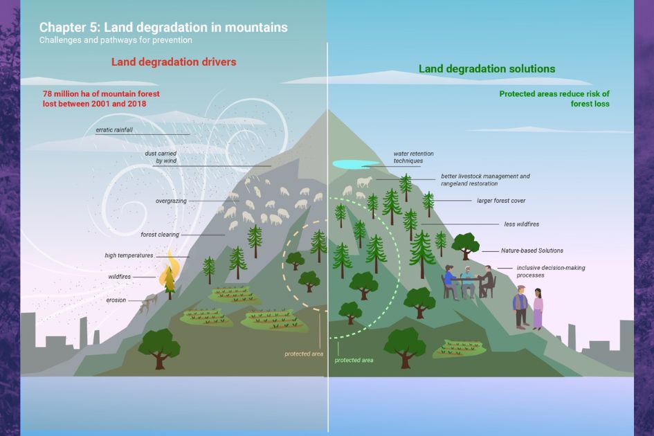 Mountains in Motion: climate change, pollution and biodiversity loss threaten the world’s high peaks