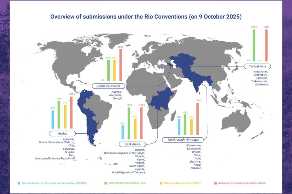 Mountains in Motion: climate change, pollution and biodiversity loss threaten the world’s high peaks