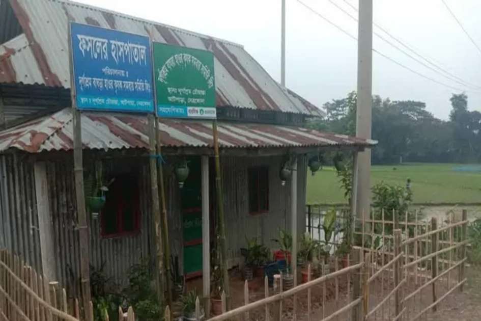 Farmers in Netrokona run ‘Crop Hospital’ to promote chemical-free plant care