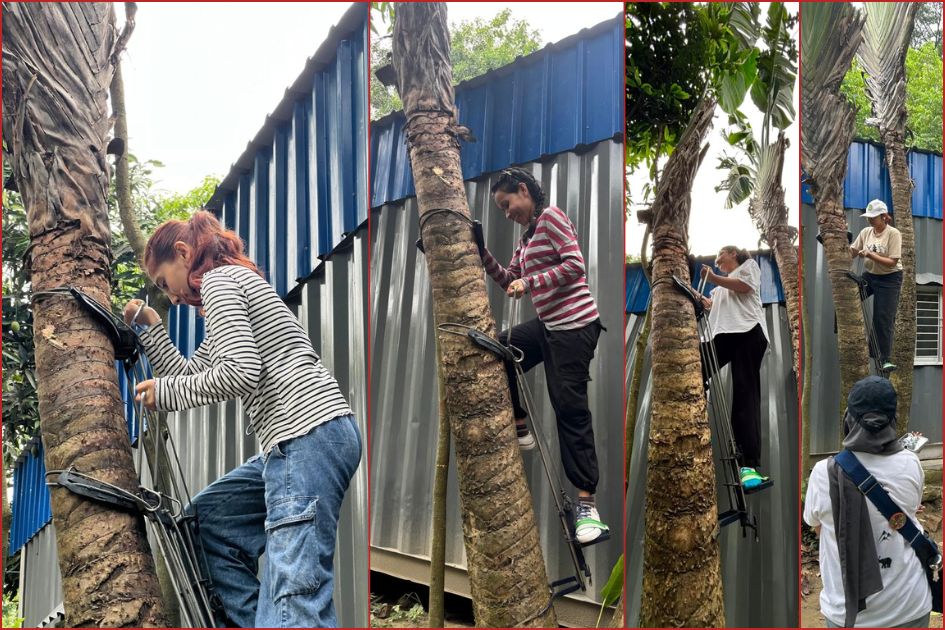 AUW Green Bangle Project promotes ecofeminist learning through tree climbing