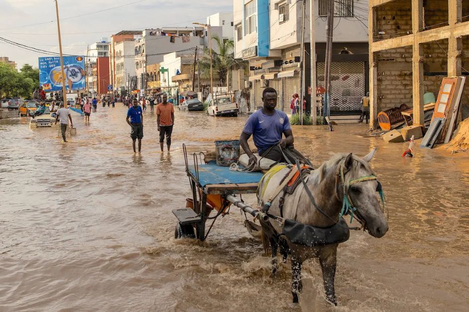 Sahel water reserves rebound as stronger monsoons recharge aquifers  