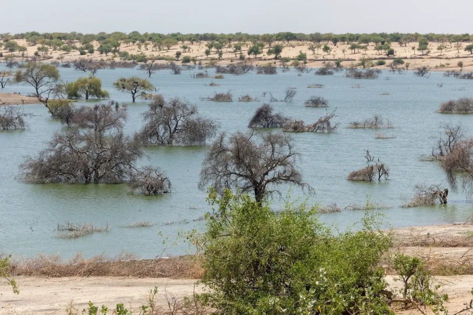 Sahel water reserves rebound as stronger monsoons recharge aquifers  