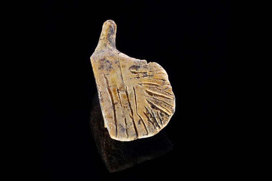 Archaeologists find tiny 40,000-year-old bird carvings in Germany