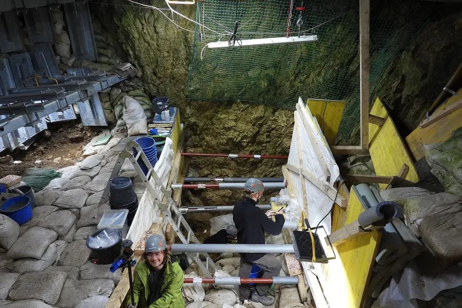 Archaeologists find tiny 40,000-year-old bird carvings in Germany