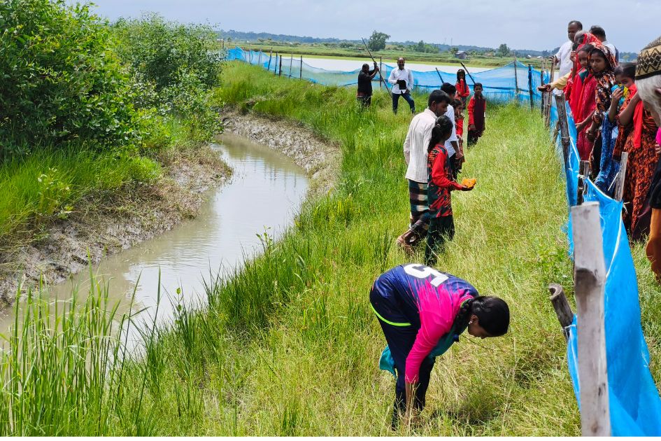 Children plant trees and seeds in Satkhira to fight climate change