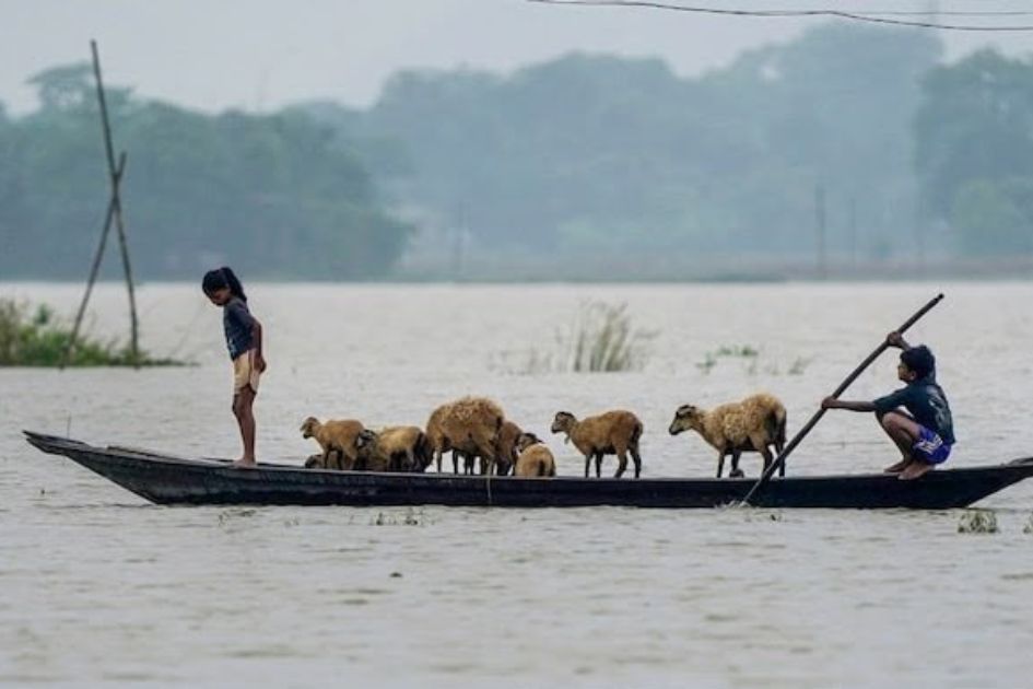 Assam labourer becomes lifeline for 2,000 people trapped by floods