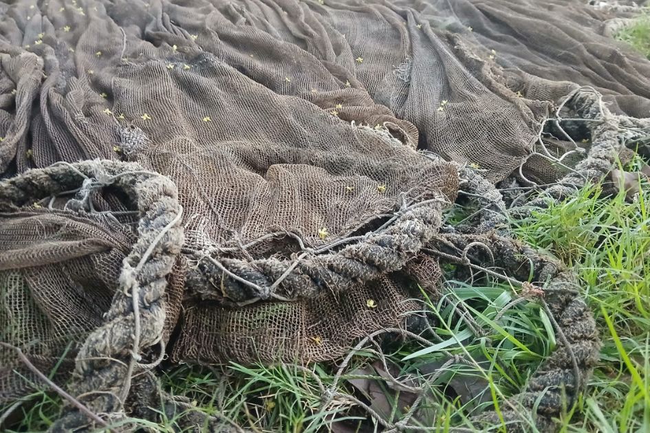 As canals choke, fish, jobs and songs fade from Bangladesh wetland