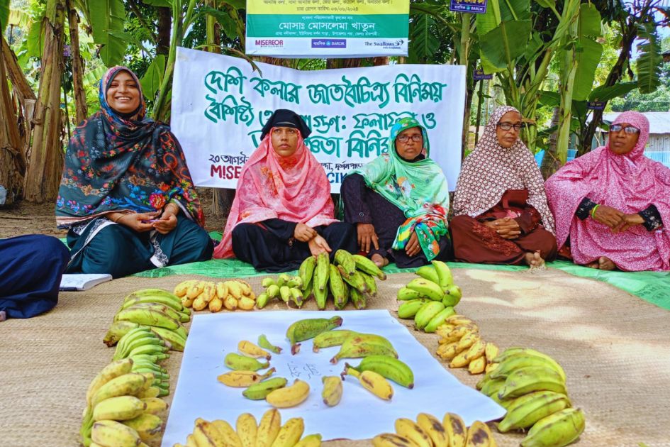 Farmer-led banana exchanges enrich Barind agrobiodiversity, study says