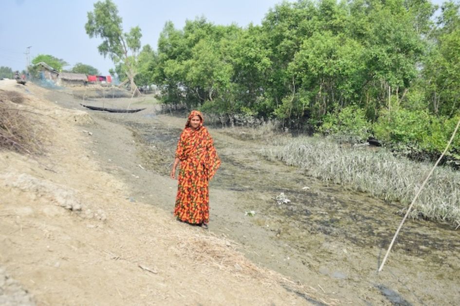 Bangladesh coastal women turn to mangroves for safety, livelihoods