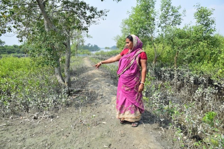 Bangladesh coastal women turn to mangroves for safety, livelihoods
