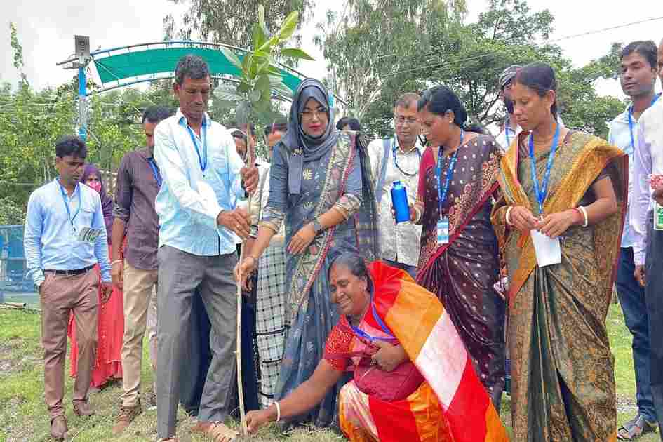 Bangladesh launches one million seed drive for coastal restoration