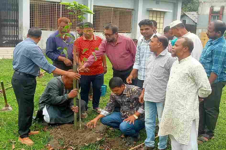 Bangladesh school renews green campus push with annual tree drive