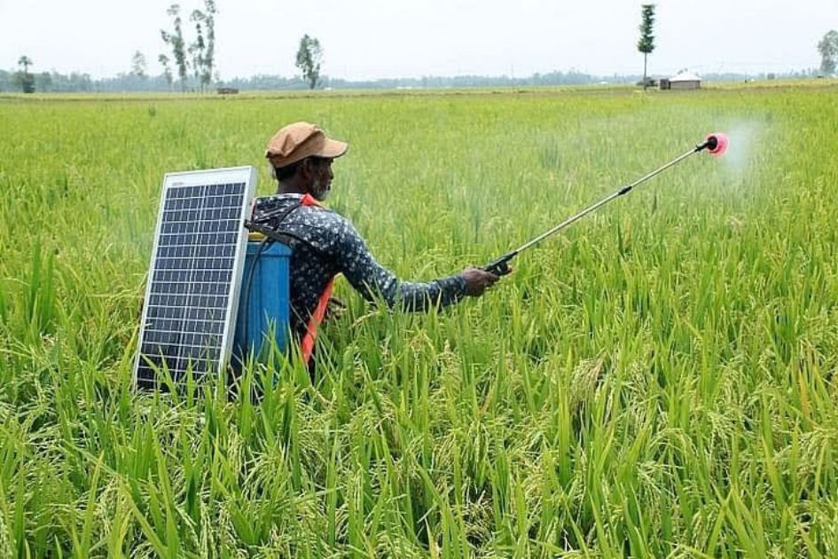 Bangladesh tests solar-powered farming to strengthen food and energy security