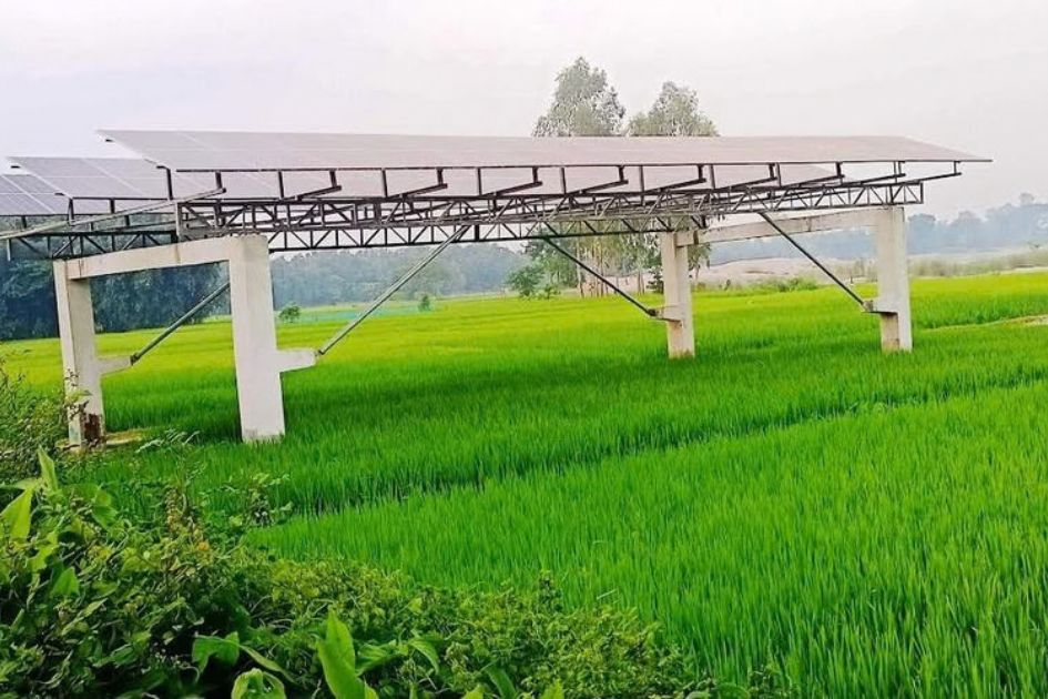 Bangladesh tests solar-powered farming to strengthen food and energy security