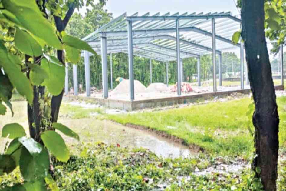 Bangladesh’s forests shrink under pressure from development and encroachment