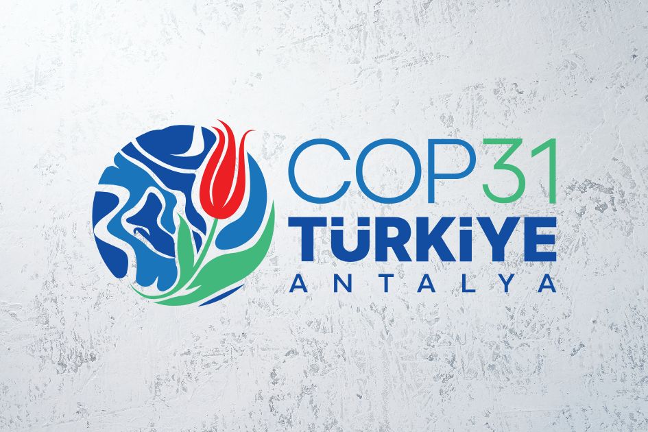 COP31 presidency unveils global electrification goal to reach 35% by 2035