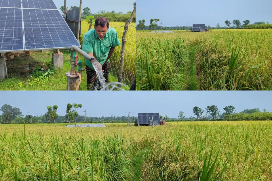 China cooperation needed to modernise and develop Bangladesh’s agriculture sector