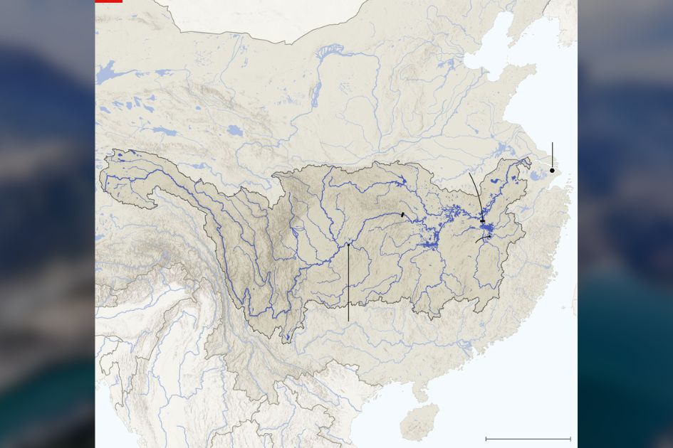 China's Yangtze rebounds after years of decline but conservation comes at a cost