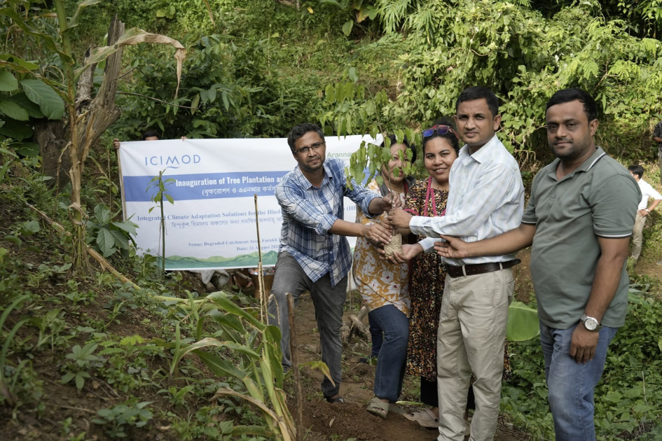 Planting begins in Bangladesh’s hill districts to restore catchments
