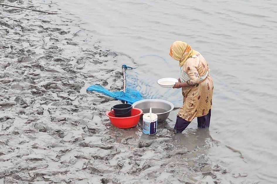 Women shoulder family burden as Sundarbans bans leave men jobless