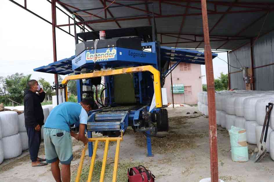 Difficult to meet demand for silage