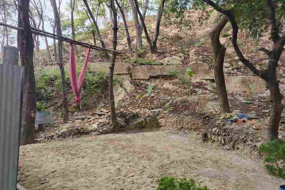 DoE summons suspect over hill cutting on Bangladesh Bank land