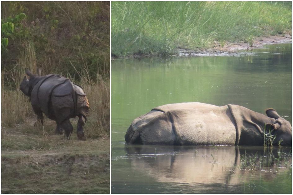 Ecotourism in Bardiya: Opportunity for many, risk for those on the frontline