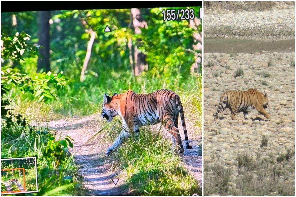 Ecotourism in Bardiya: Opportunity for many, risk for those on the frontline