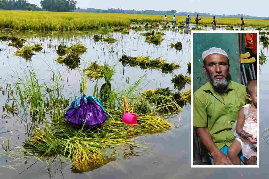Farmer dies of heart attack after seeing ripe rice fields submerged in Kishoreganj