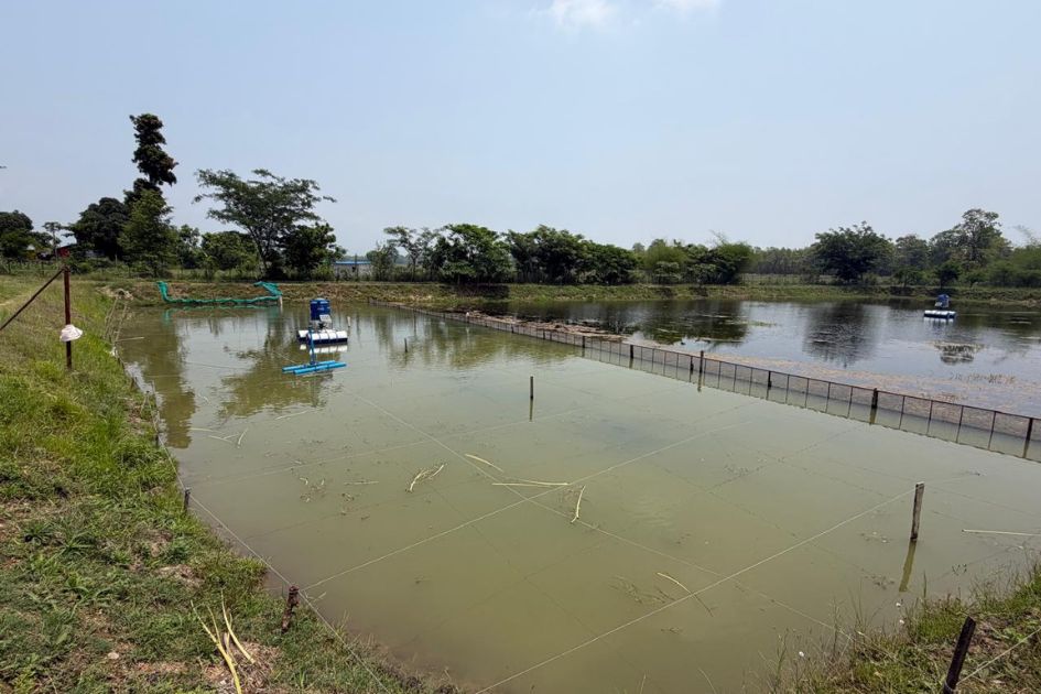 Fish farming turns Rajapani Community Forest into tourist attraction in Nepal
