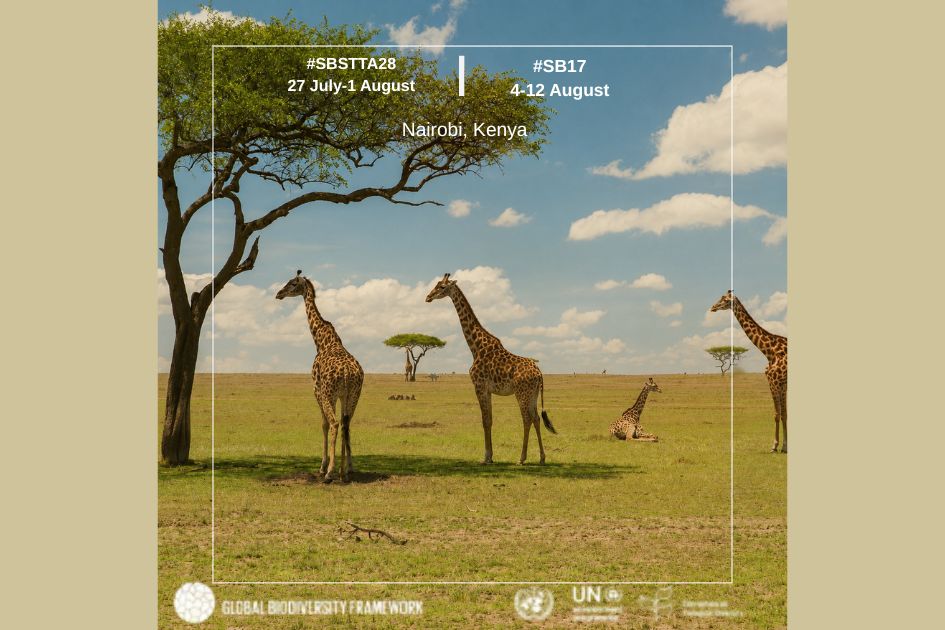 UN biodiversity talks find world off track for 2030 targets