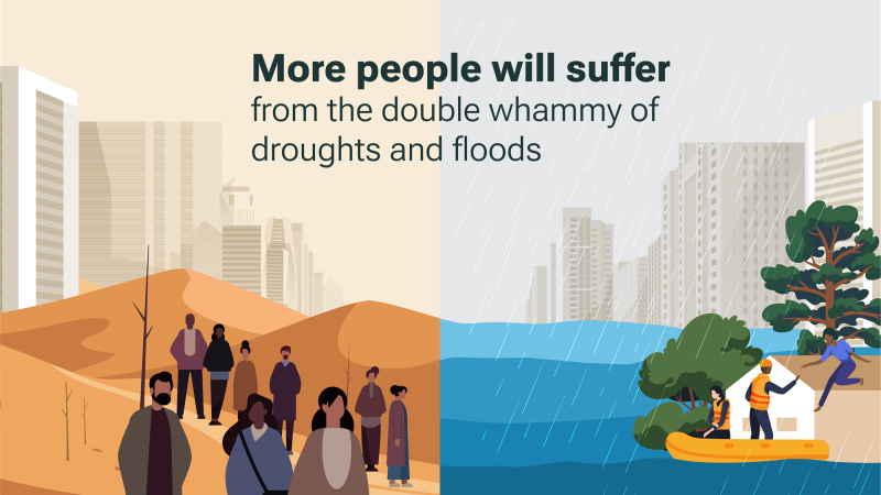 UN report warns environmental crises could transform life by 2050