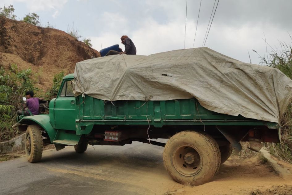 Illegal logging ravages Bandarban's Dim Pahar forests, streams dry up
