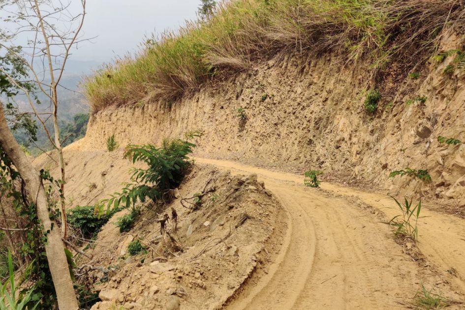 Illegal logging ravages Bandarban's Dim Pahar forests, streams dry up
