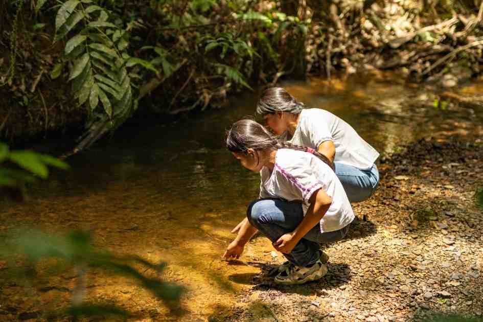 Indigenous knowledge helps protect nature’s remaining strongholds