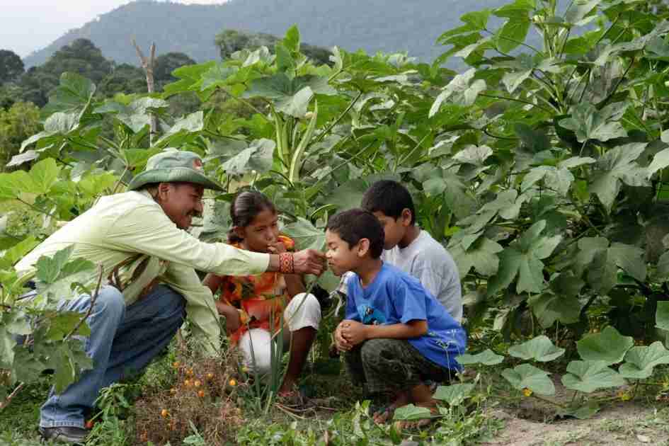 Indigenous knowledge helps protect nature’s remaining strongholds