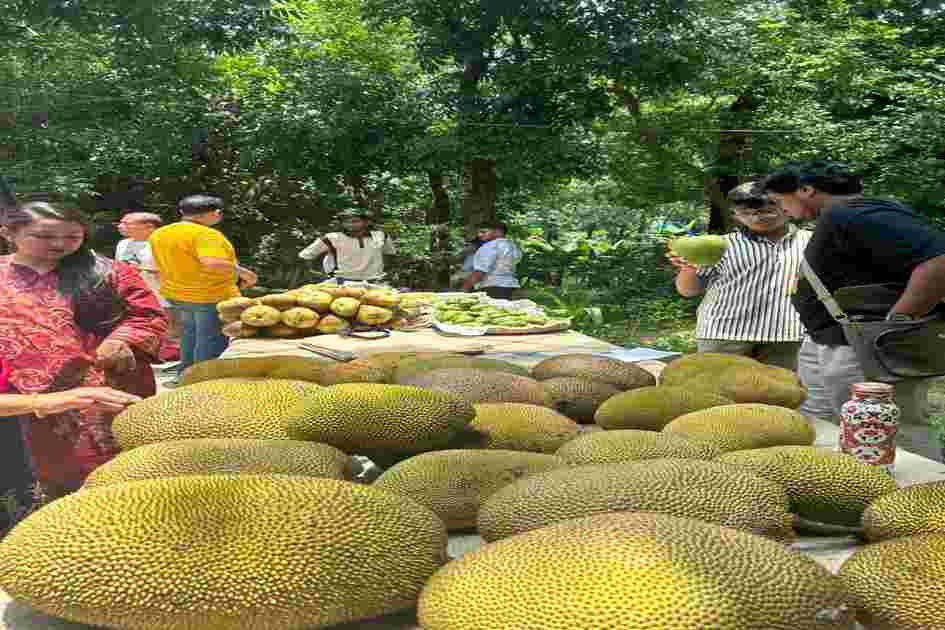 Jackfruit chips innovation by AUW students steals spotlight at Sonapahar festival