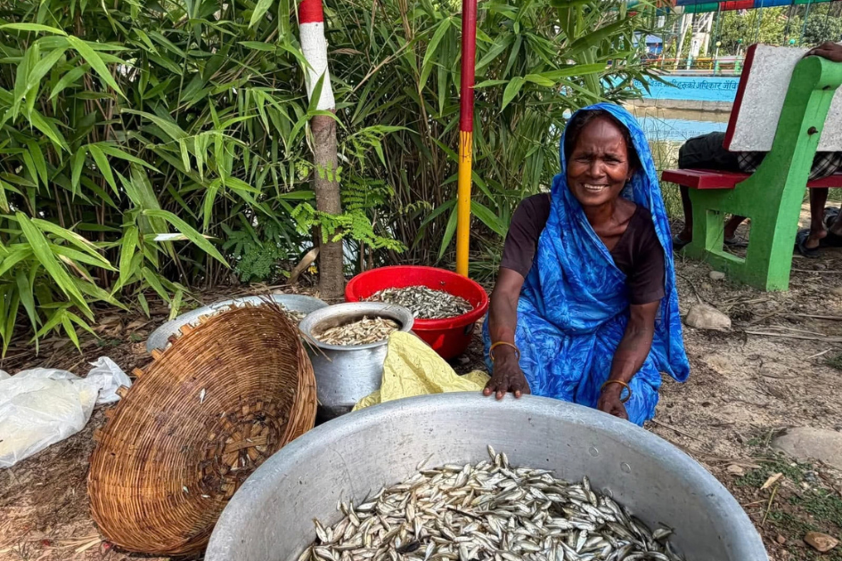 Ponds become a boon during dry spells