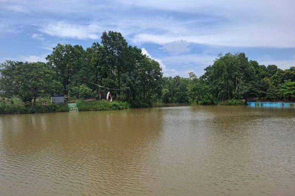 Ponds become a boon during dry spells