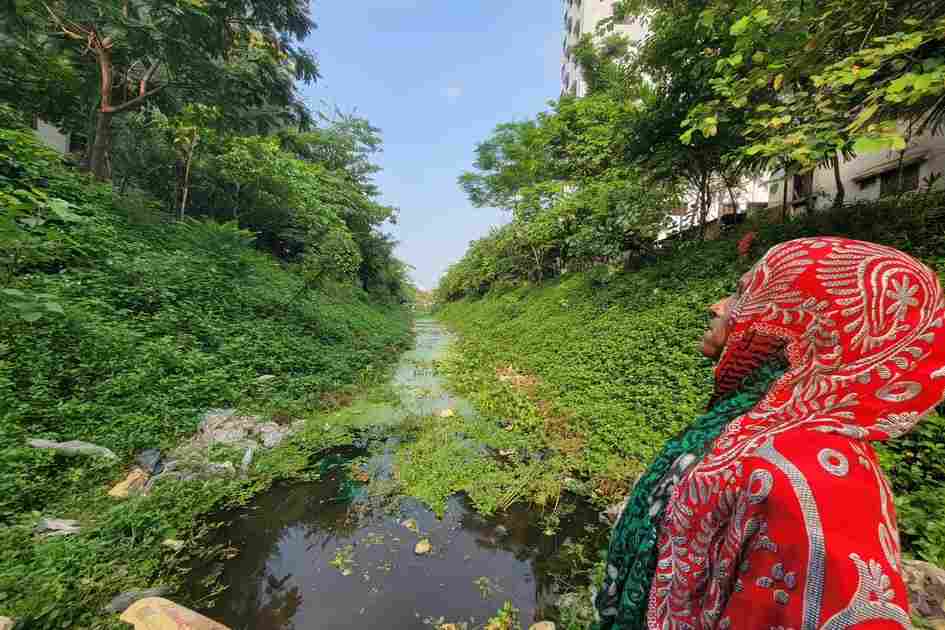 Lautala's Small Forest: A Place of Healing in a Concrete City