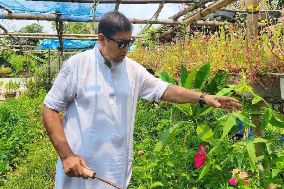 Madaripur environmentalist gives away free tree saplings for 40 years