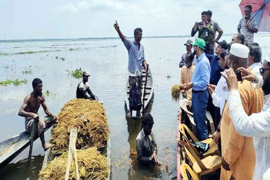 Moulvibazar prepares list of farmers and fishers affected by floods, says DC