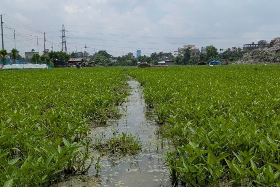 Dumpling station crisis in Bangladesh: work that brings to death