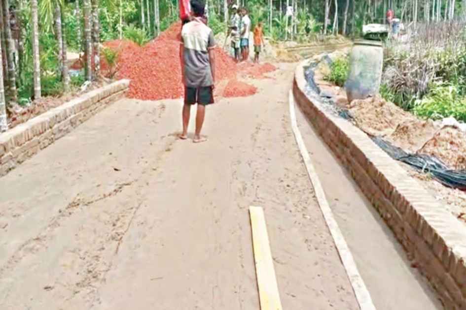 Road projects through protected forests spark biodiversity concerns in Bangladesh