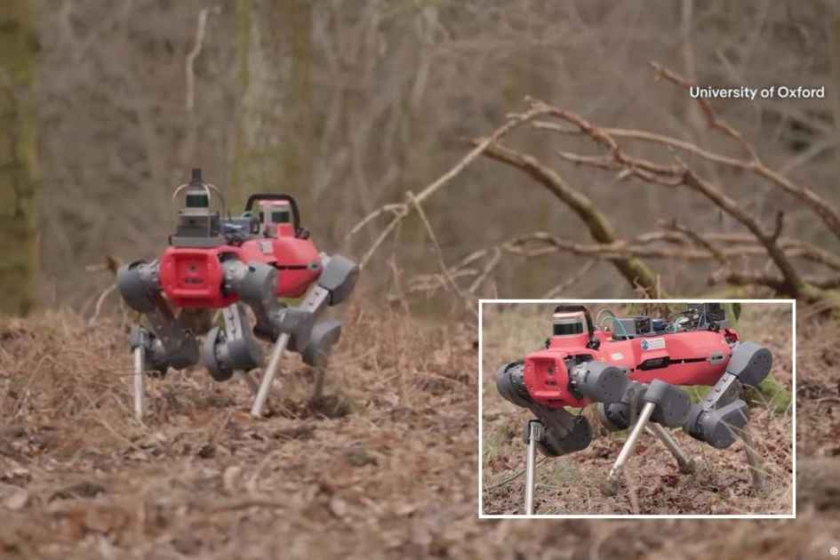 Robot dog tested to protect forests from climate threat