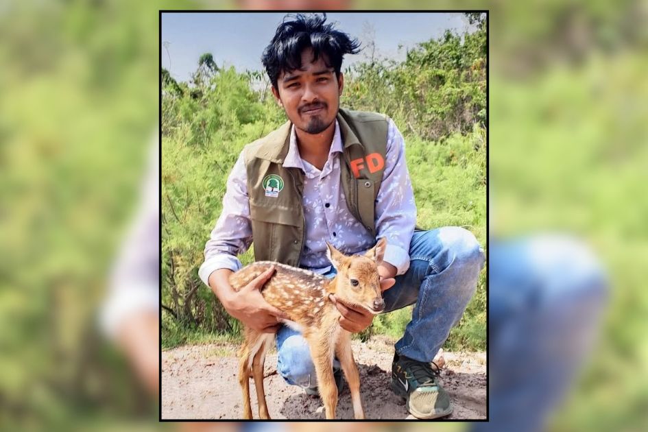 Deer fawn rescued from pipe after dog chase, returned to mother in Mirsarai