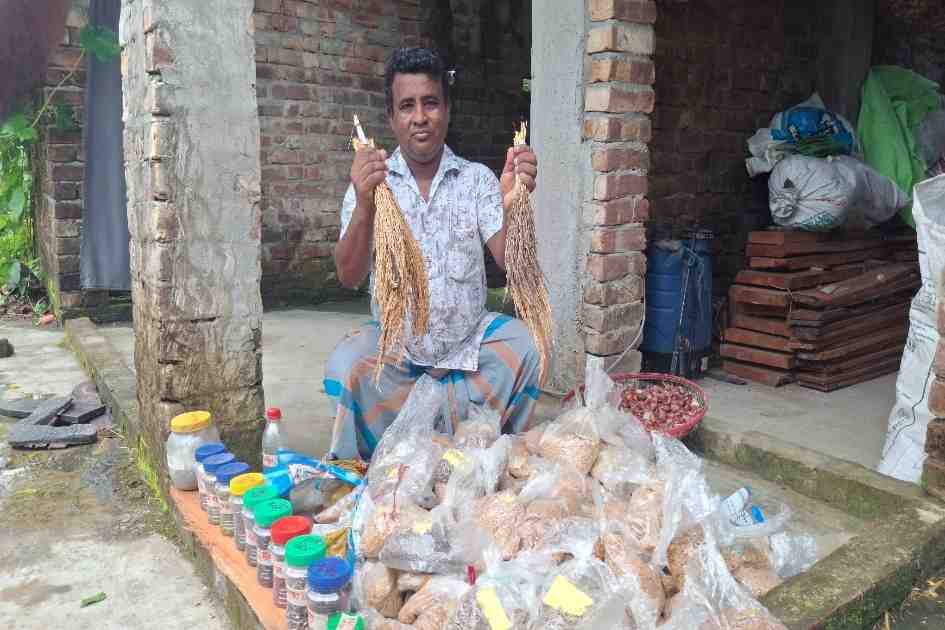 Seeds against salt: how coastal farmers are defending food security