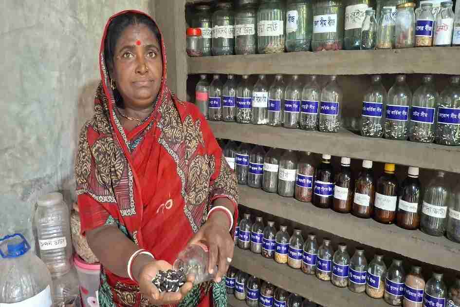 Seeds against salt: how coastal farmers are defending food security