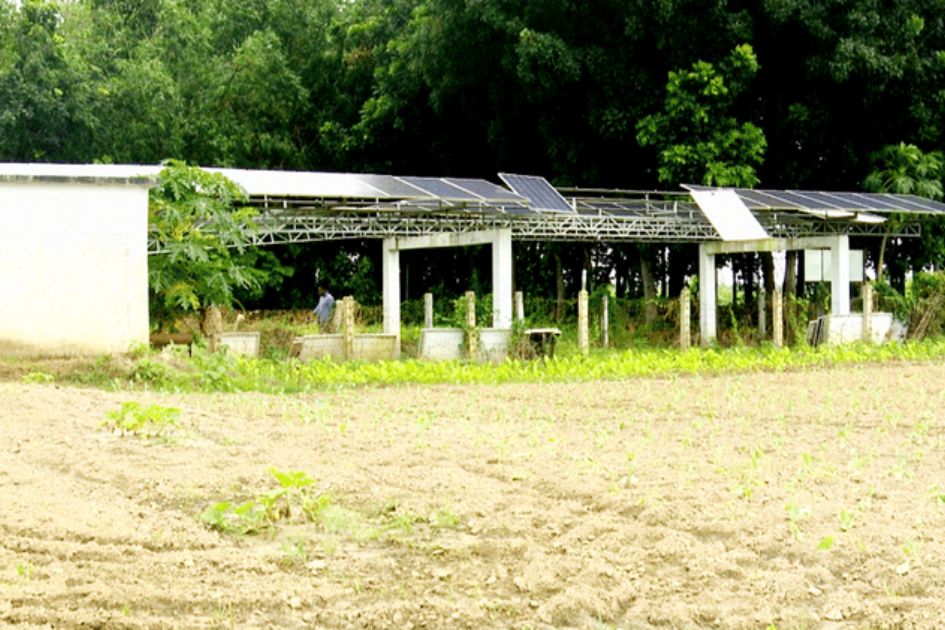 Solar irrigation project worth Tk 4.28 million lies idle before launch