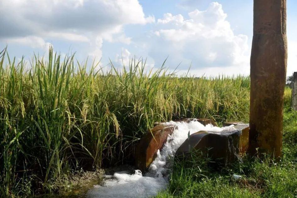 Solar irrigation pumps ease fuel crisis for Chuadanga farmers